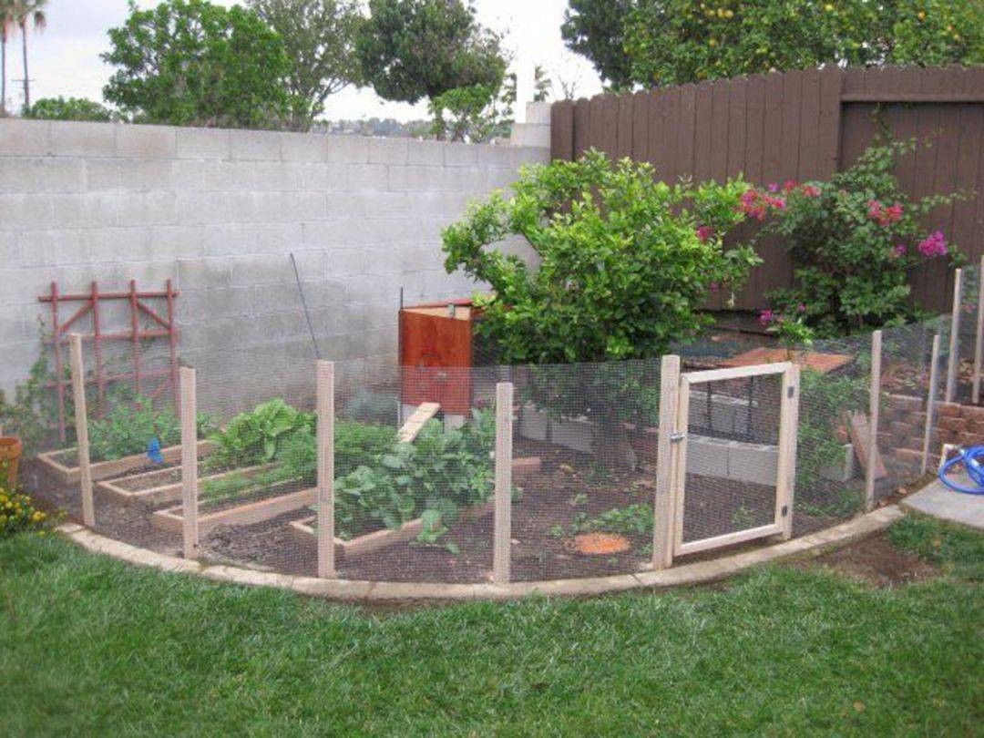 Easy And Decorative Diy Fencing