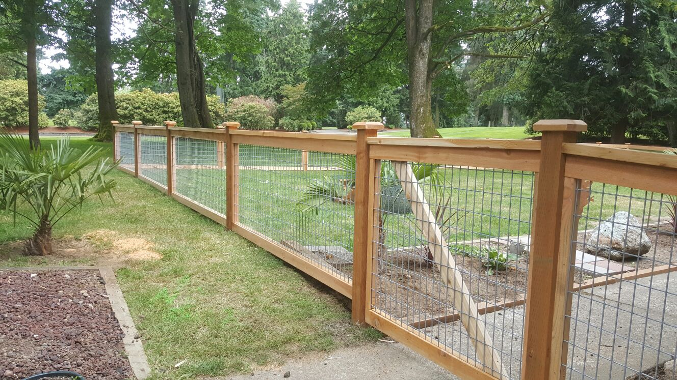 Vegetable Garden Fence Chicken Wire Interior