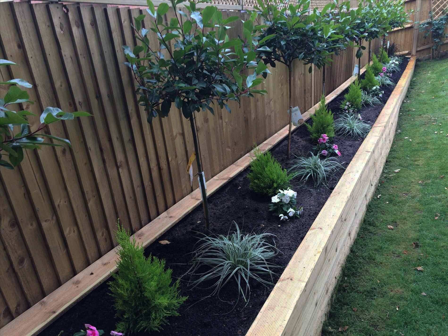 Garden Ideas Fence Borders