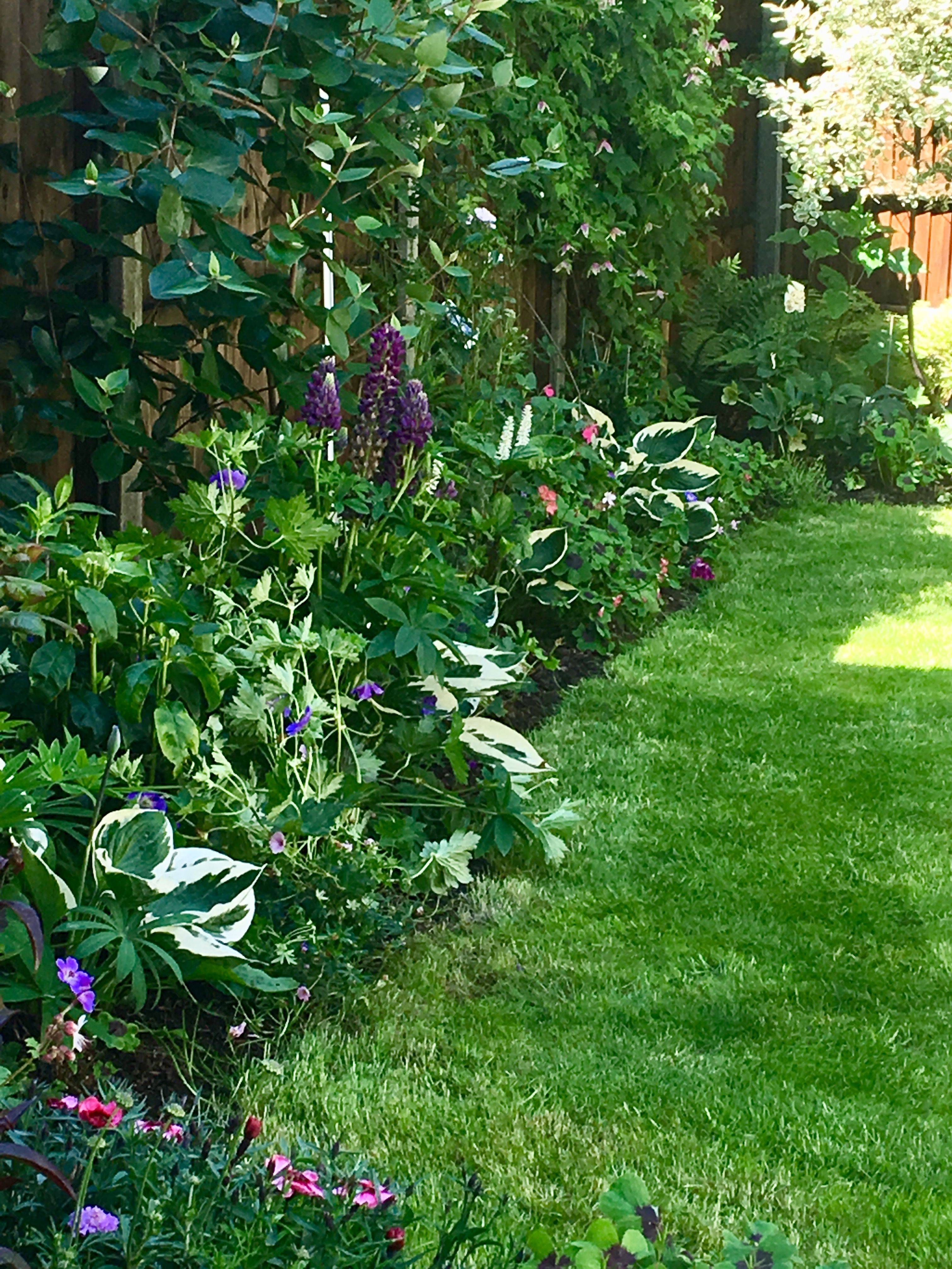 Marvelous Garden Border Ideas