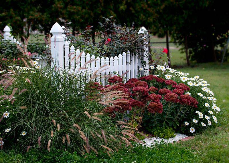 Easy Cheap Backyard Privacy Fence Design Ideas