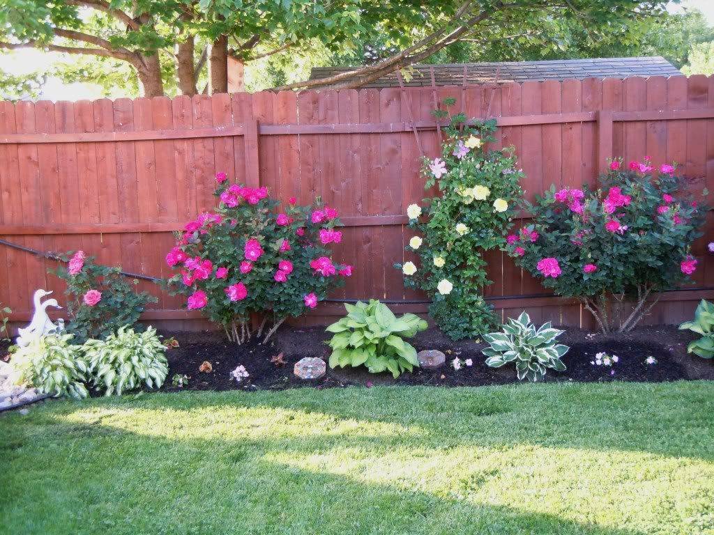 Garden Ideas