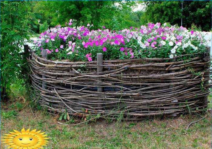 Backyard Spaces