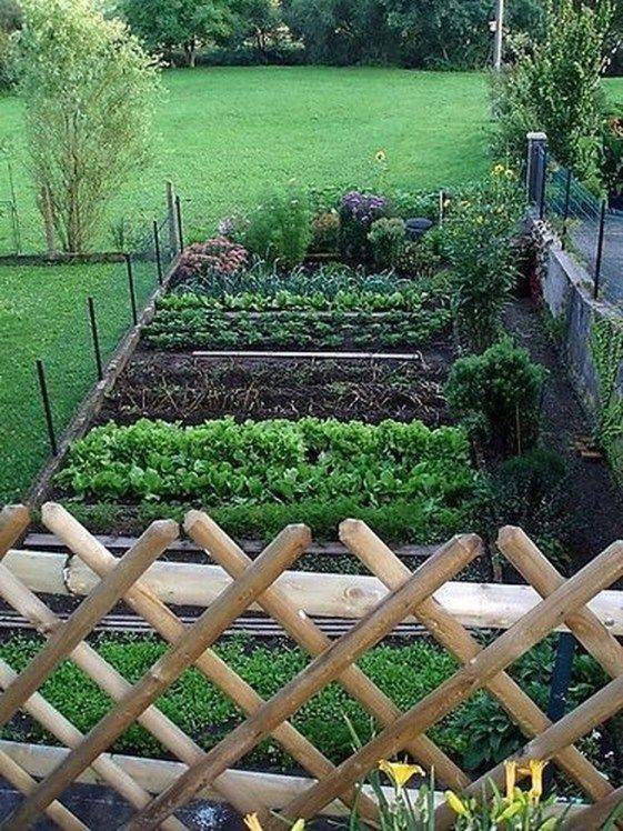 Great Front Yard Vegetable Garden Ideas