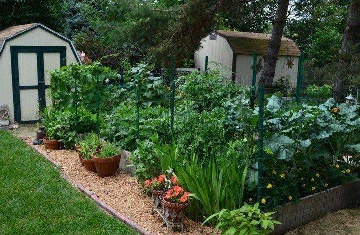 Great Balcony Garden Ideas