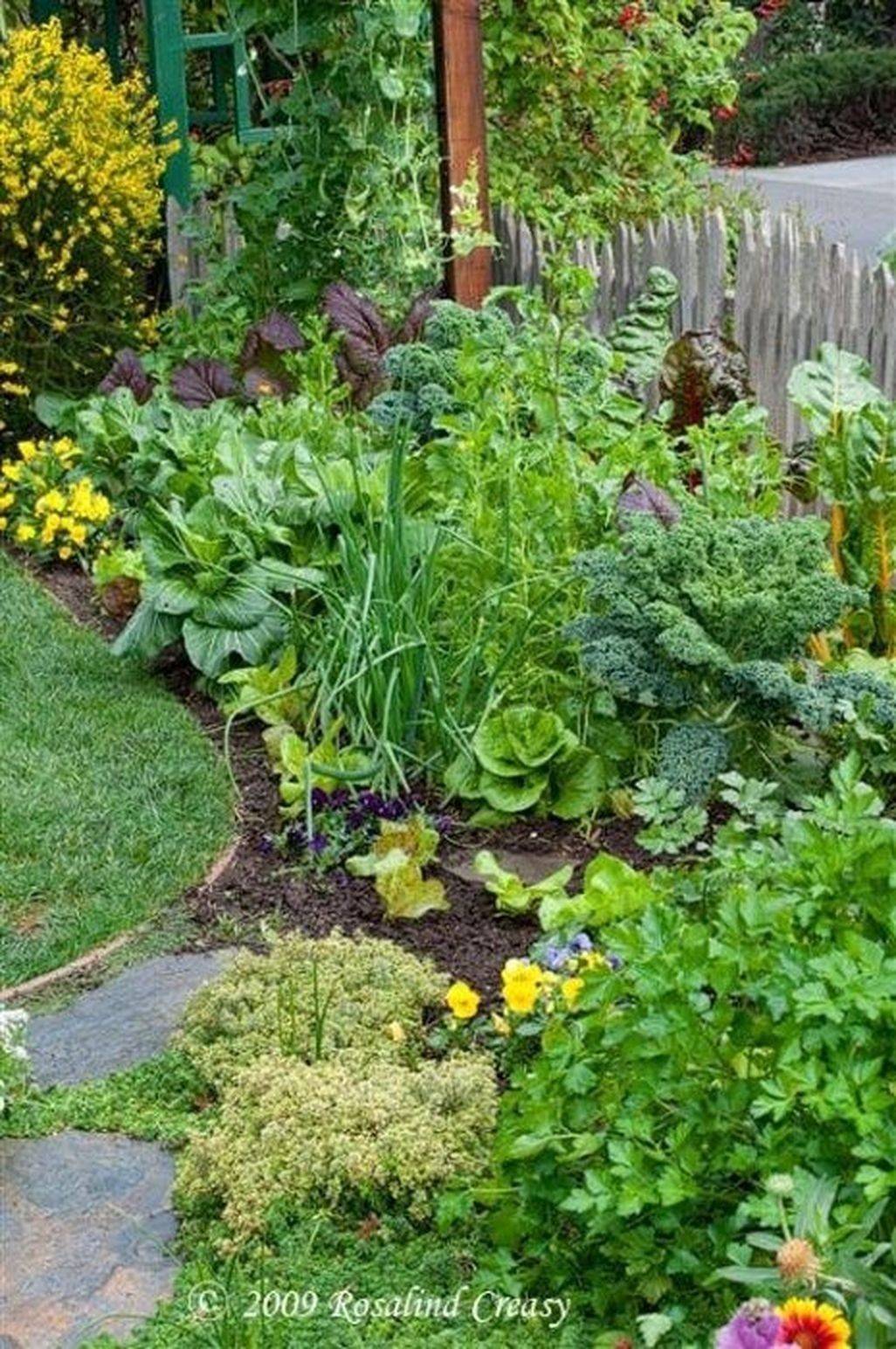 Most Popular Creative Gardening Ideas
