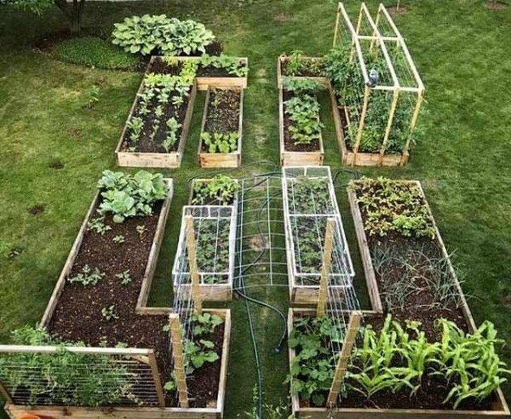Most Popular Kitchen Garden Design Ideas Best