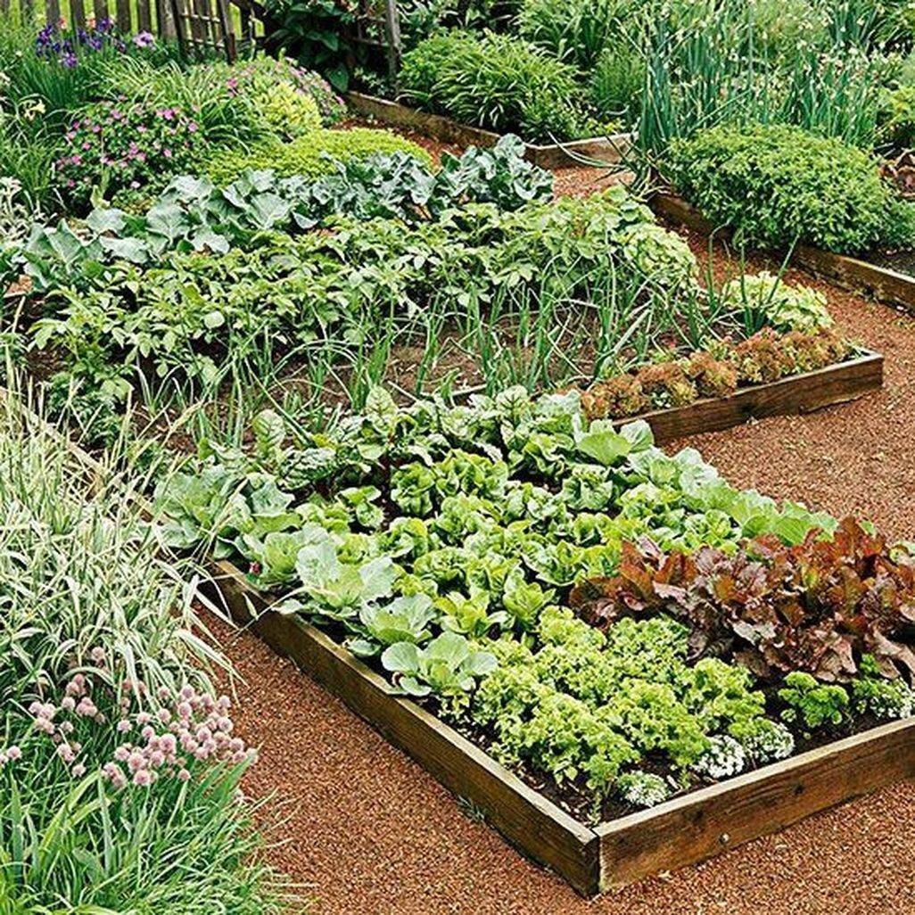 Most Popular Kitchen Garden Design Ideas