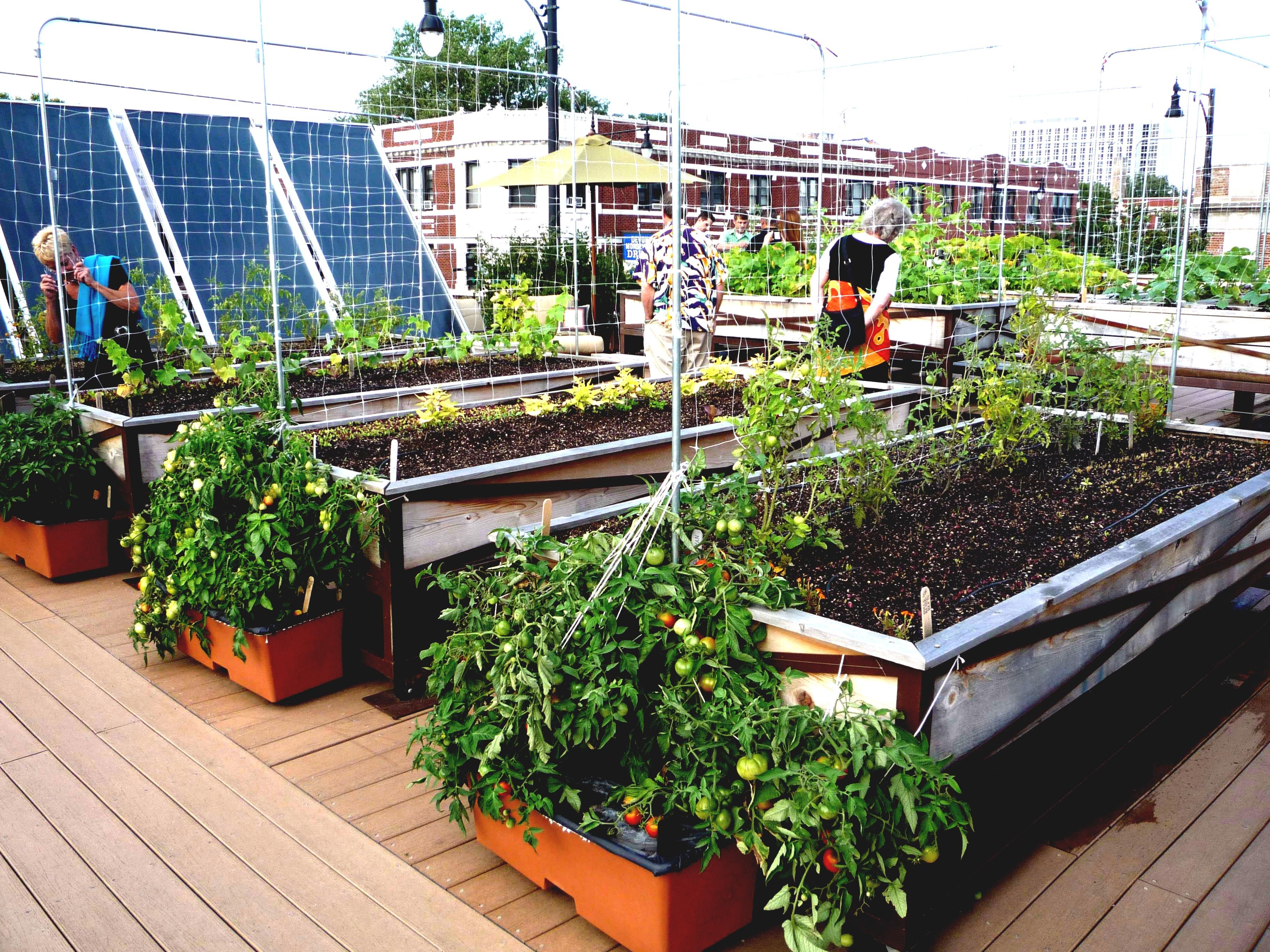 Rooftop Vegetable Garden Bing Images Roof Garden Design