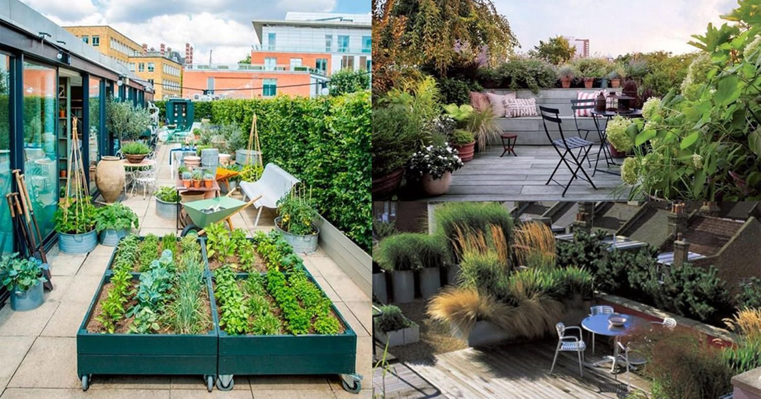 Rooftop Vegetable Garden Ideas