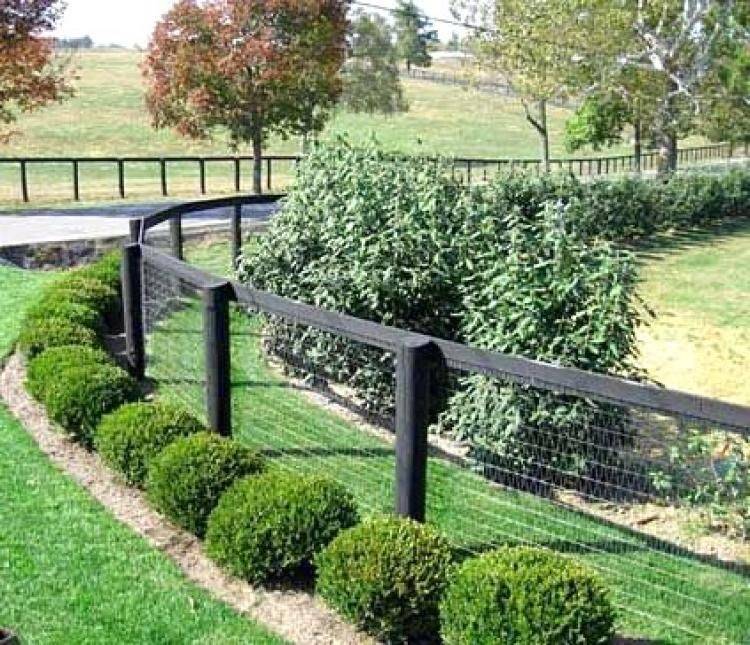 Raised Garden Beds