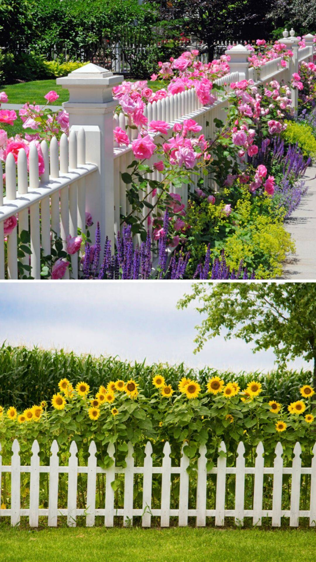 25 DIY Flower Garden Fence Ideas To Consider SharonSable