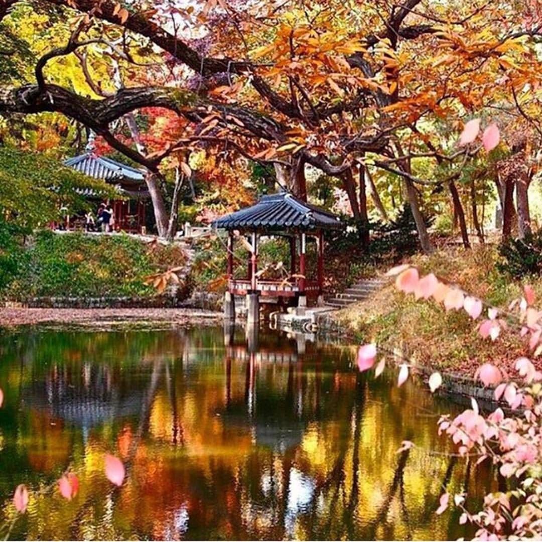 Changdeokgung Palace Secret Garden