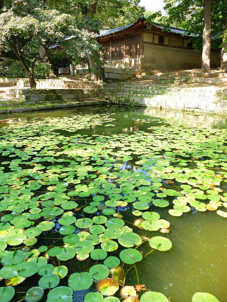 Free Download Secret Garden Korean Drama