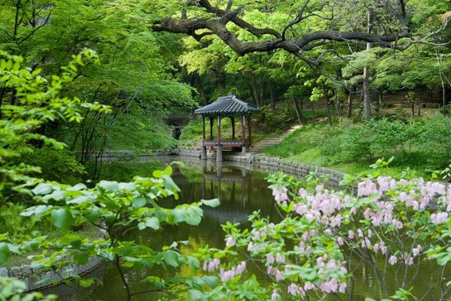 Korea South Korea