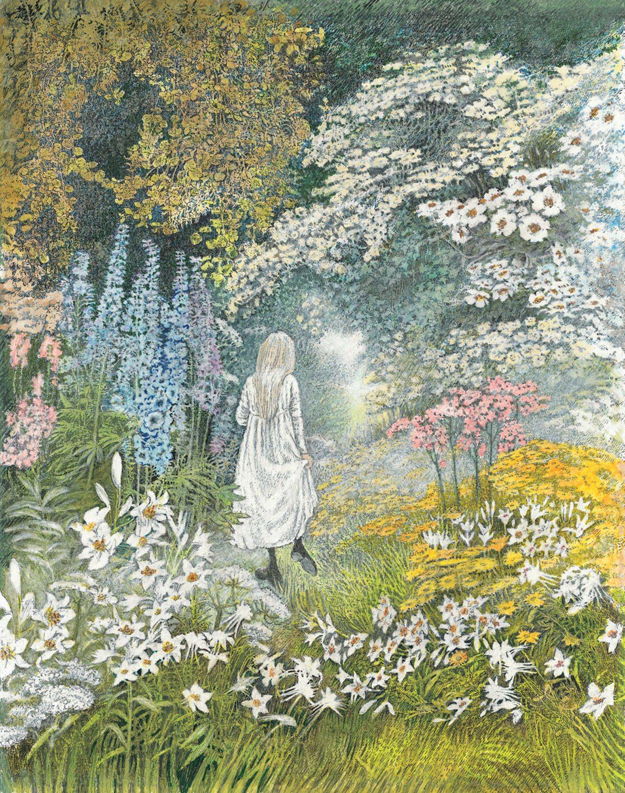 Book Cover Illustration