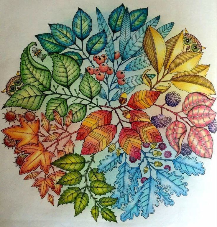 22 Secret Garden Coloring Book Ideas Worth to Check | SharonSable
