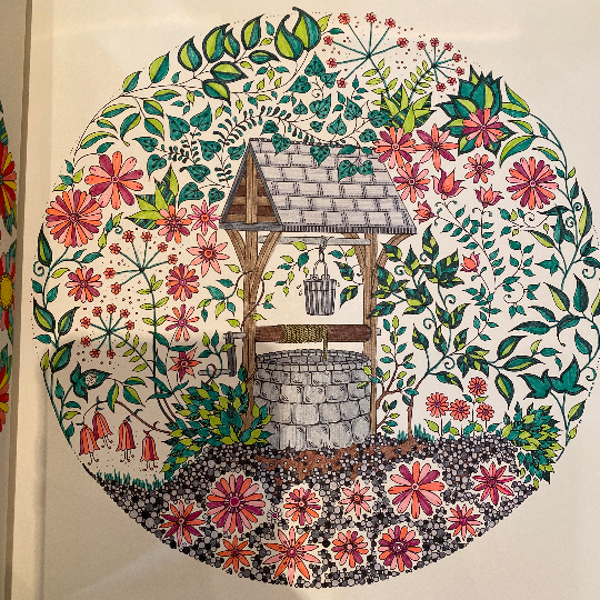 Secret Garden Owls Mandala