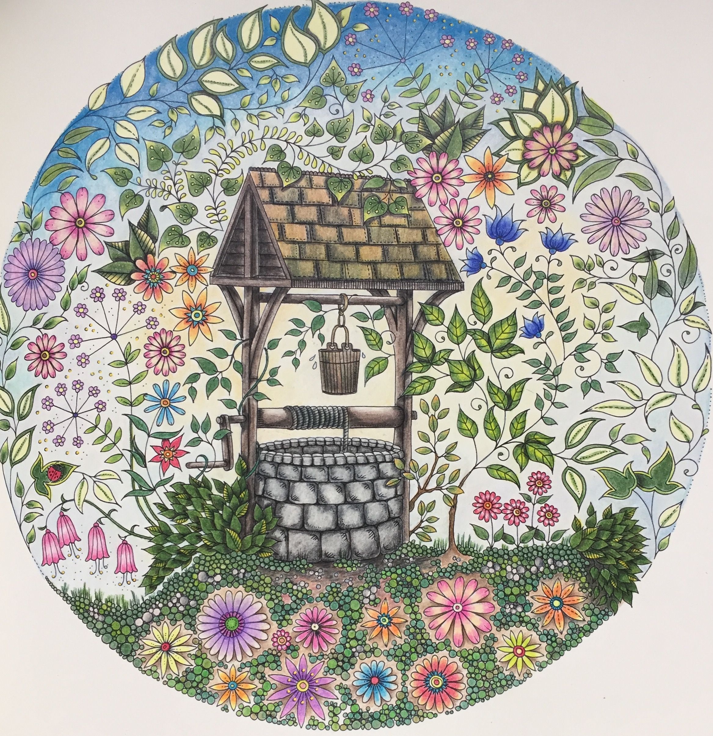 Secret Garden Coloring Book Ideas