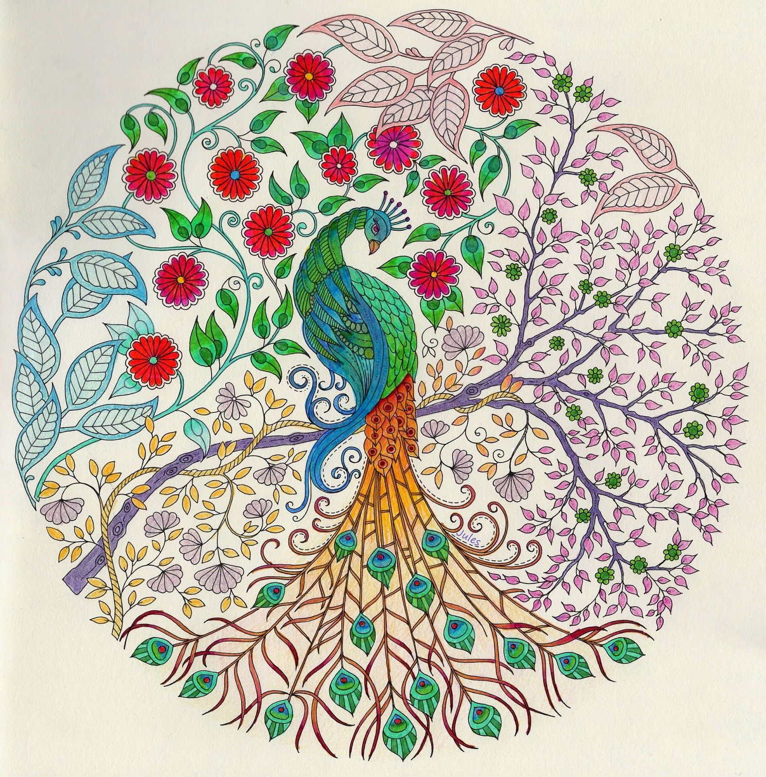 Secret Garden Coloring Book