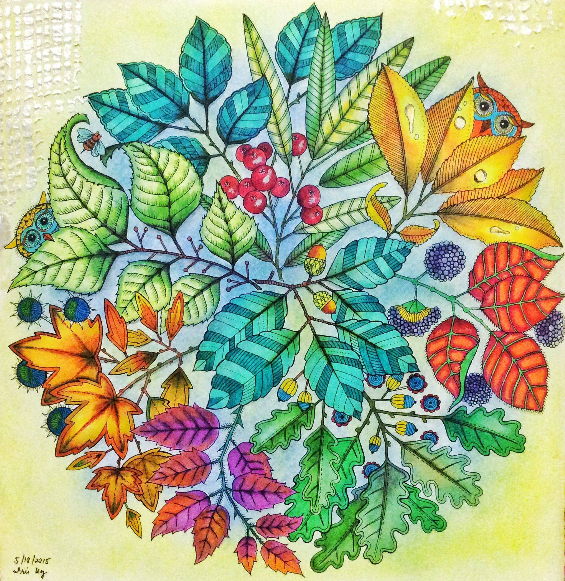 Johanna Basford Coloring Book