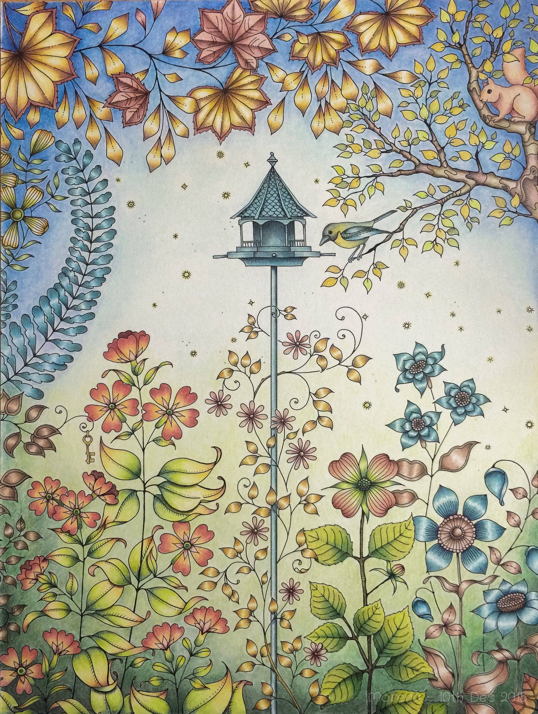 Secret Garden Owls Mandala