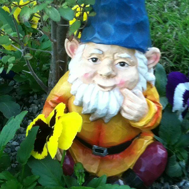 Cute Giggling Gnome Garden Ideas