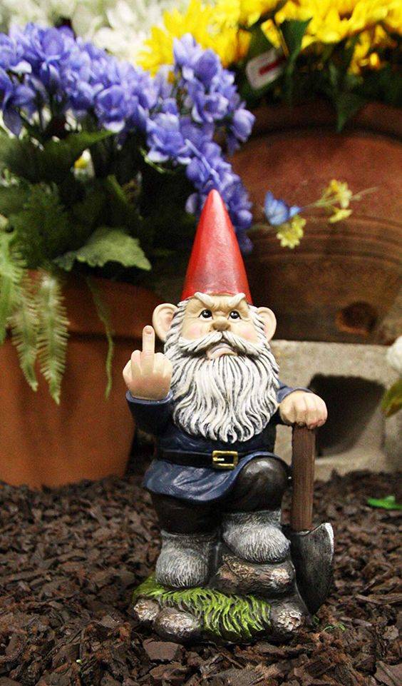 Our Favorite Garden Gnome Ideas