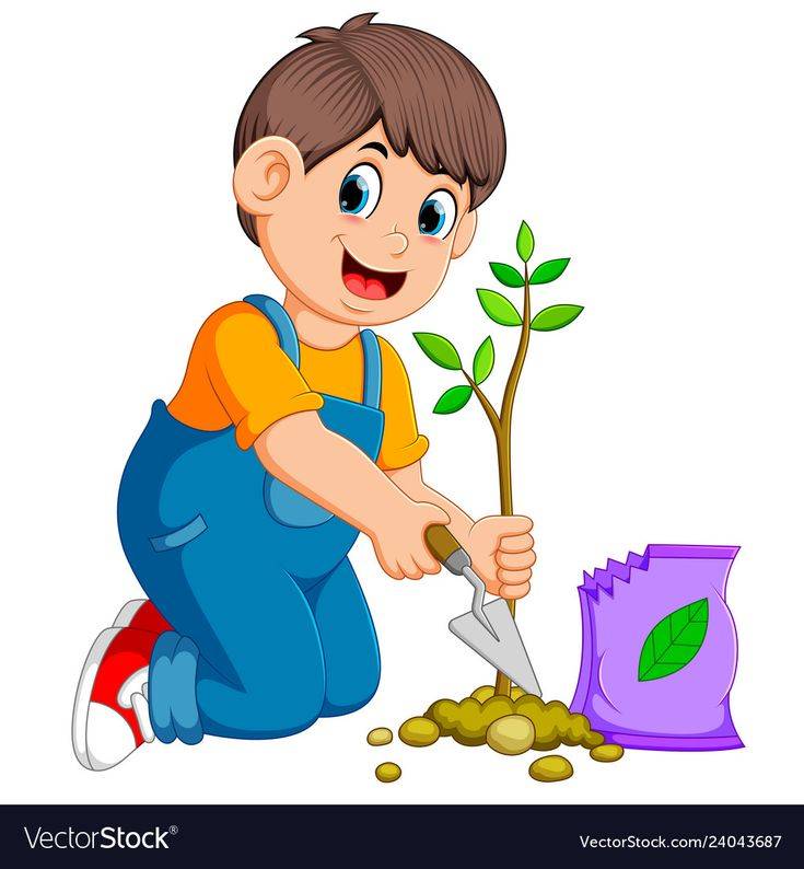 The Garden Background Stock