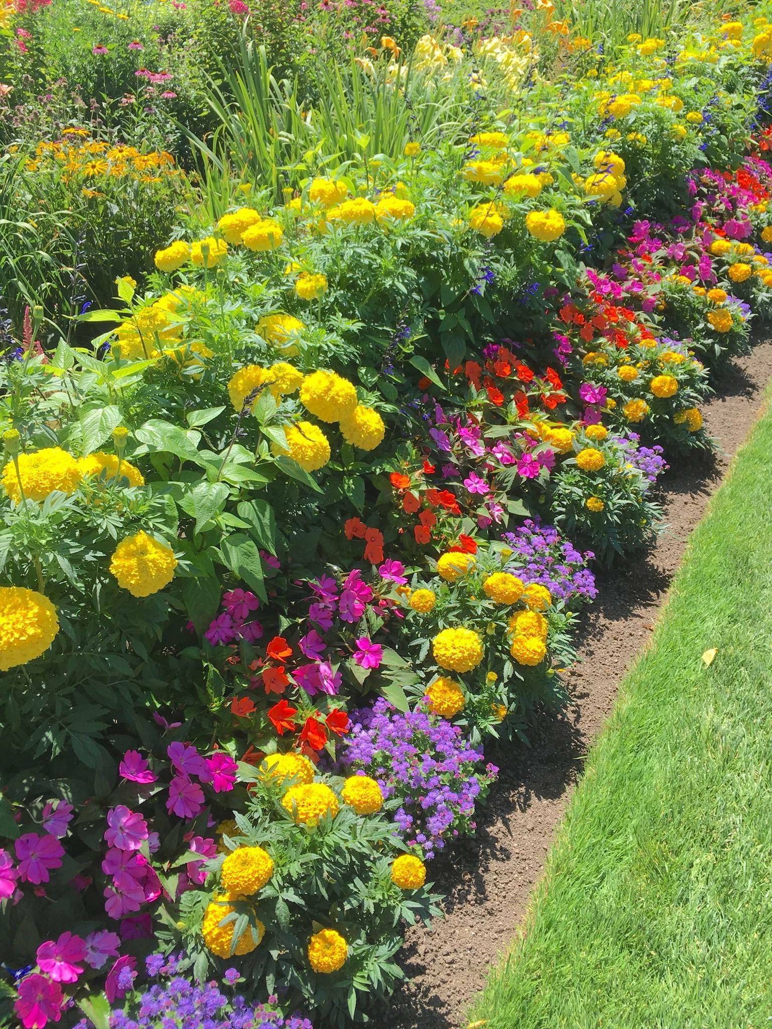 Summer Flower Garden Border Ideas