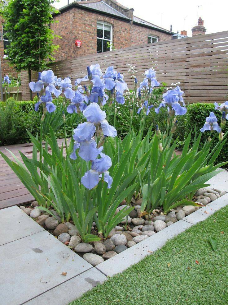 Adorable Flower Garden Ideas