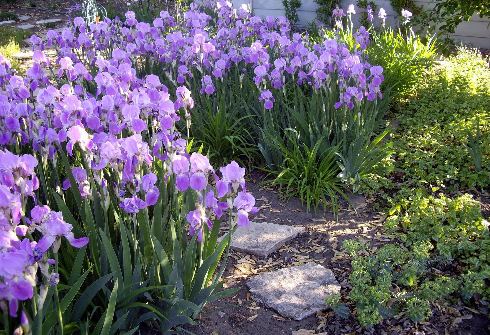 Landscaping Ideas