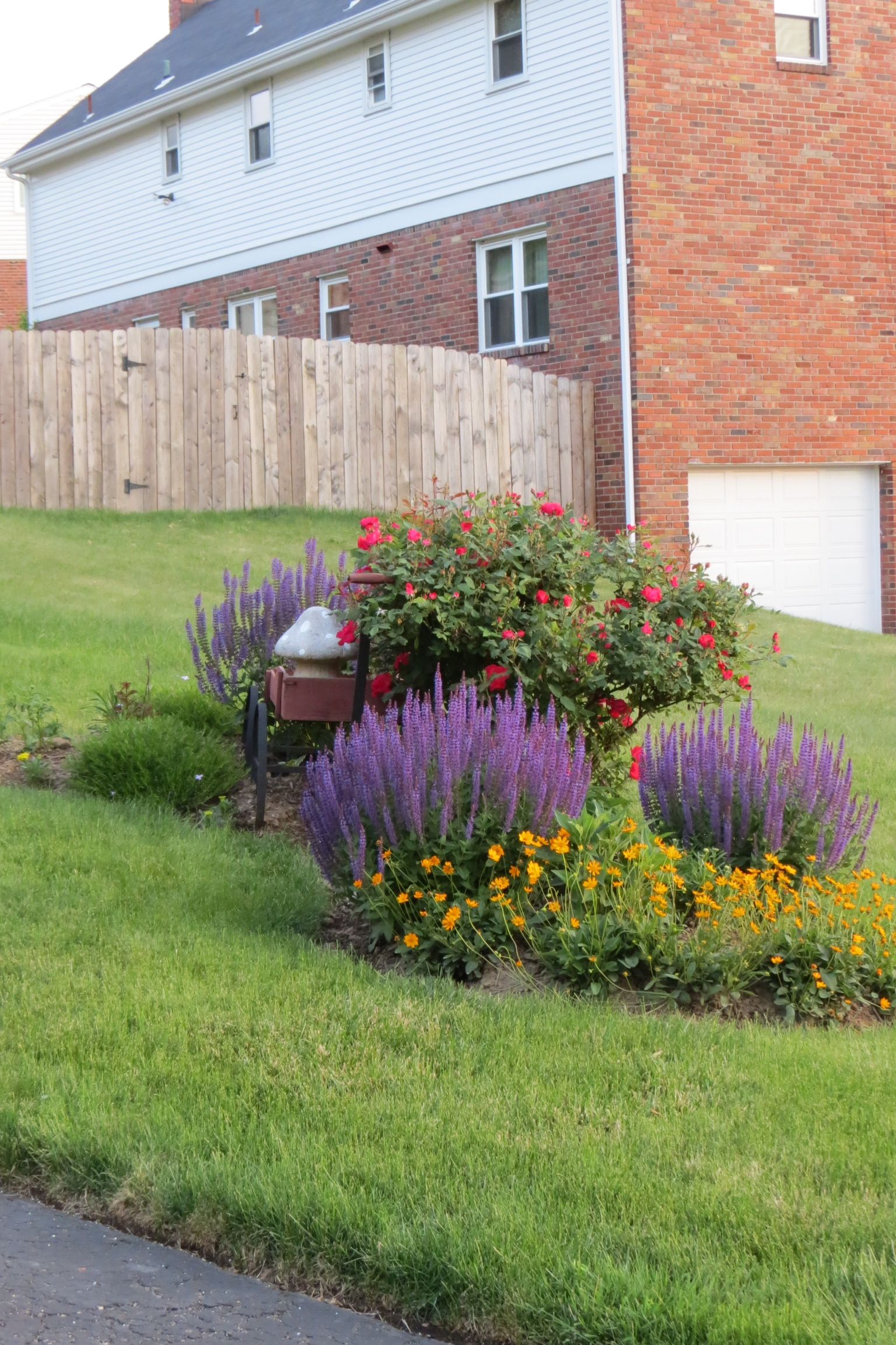 The Small Border Shrubs