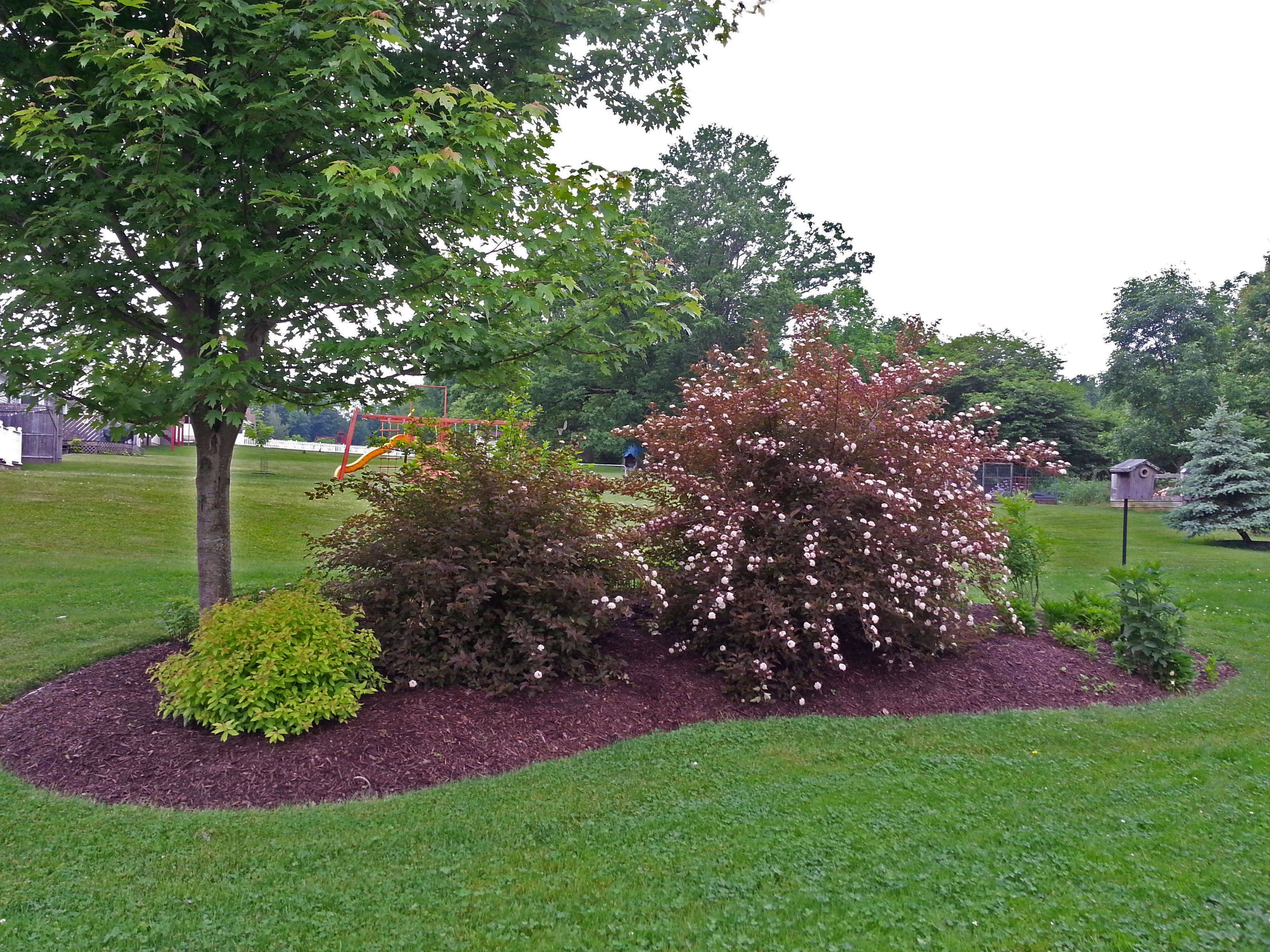 Front Yard Landscape Island Installed