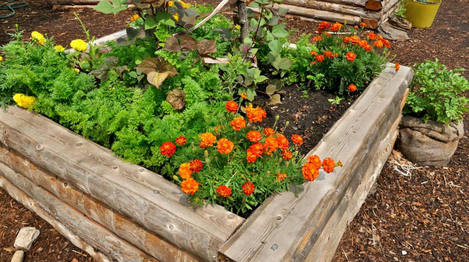Diy Pallet Garden Raised Flower Bed Ideas