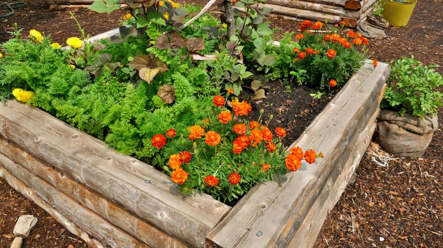 Diy Pallet Garden Raised Flower Bed Ideas