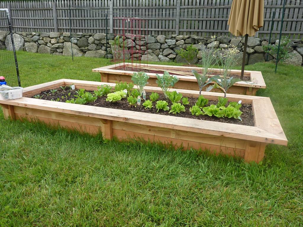 Raised Bed Garden Designs