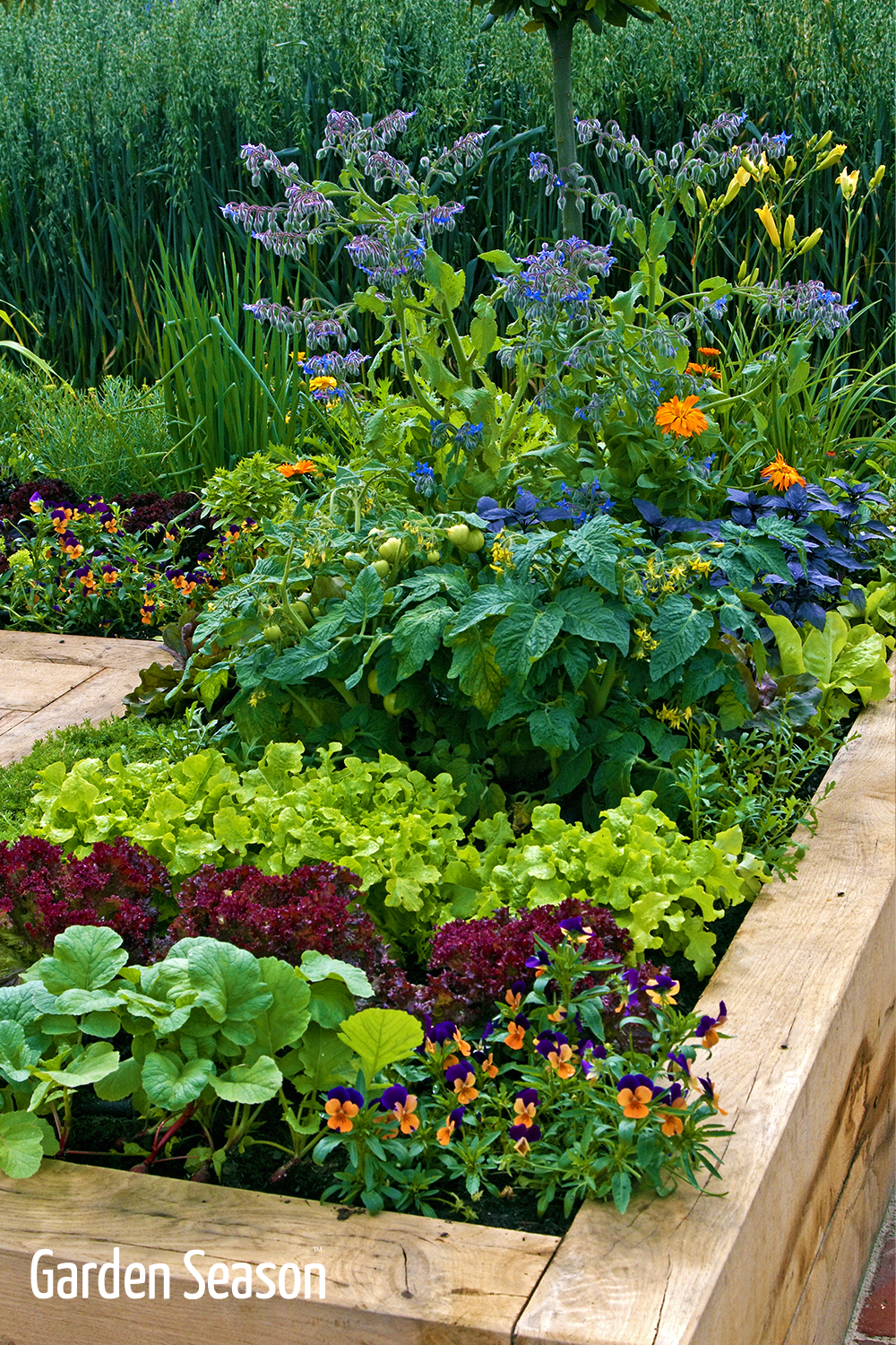 Raised Bed Garden Design Ideas