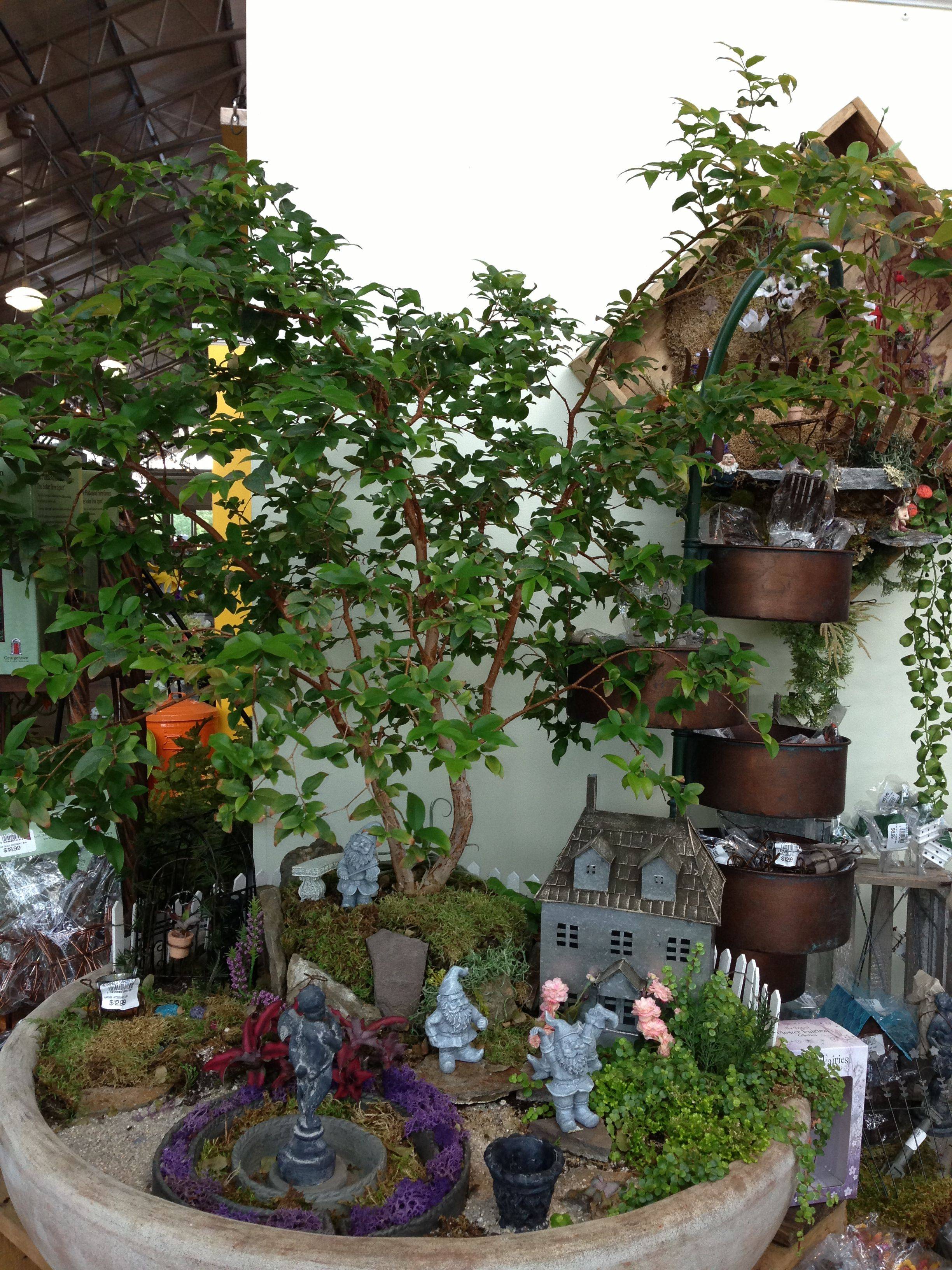 Cute And Whimsical Fairy Garden Ideas