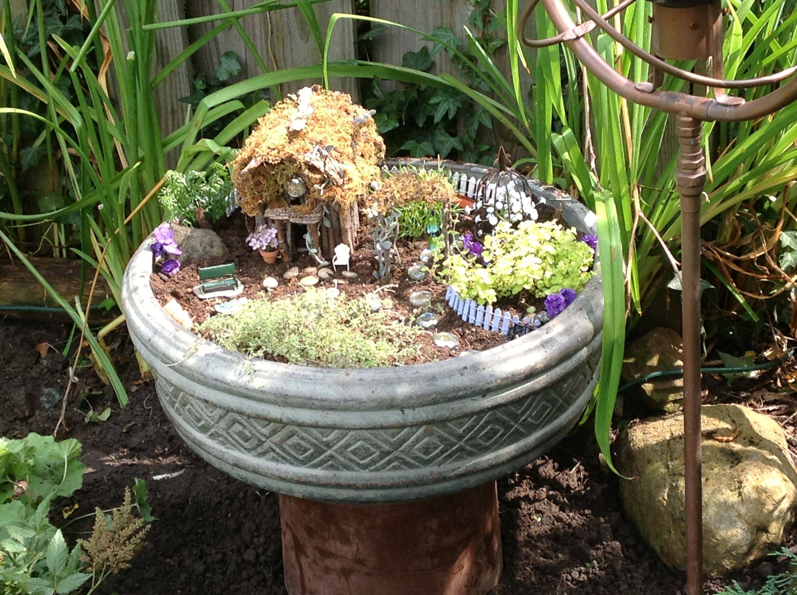 Maryfield Garden Center Fairy Garden