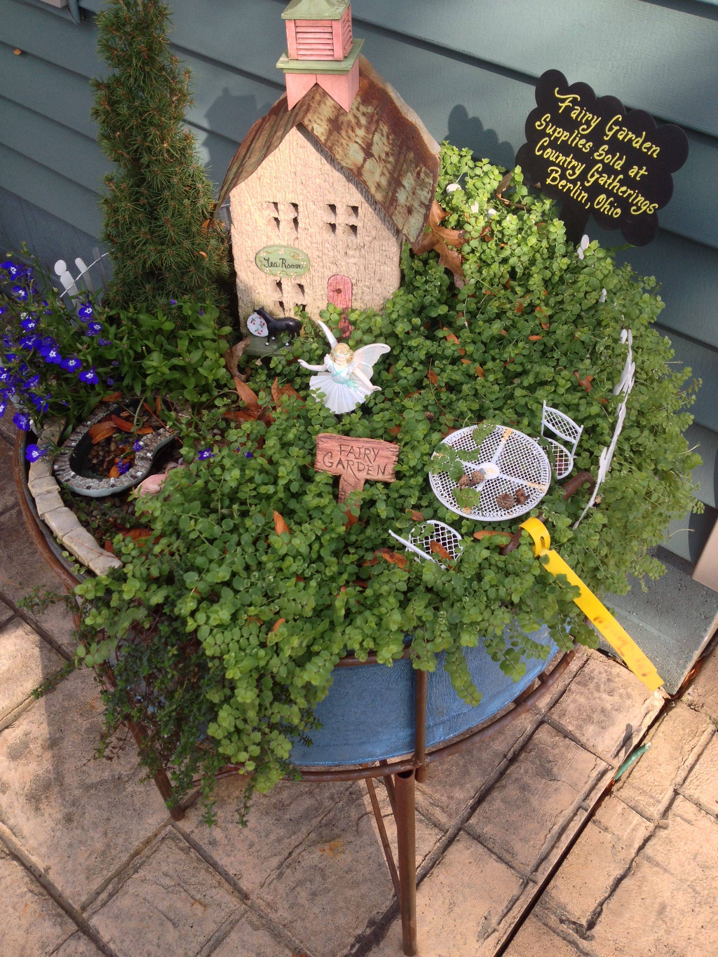 Vintage Cairn Terrier Usa Fitted Scoop Neck Long Sleeve Fairy Garden