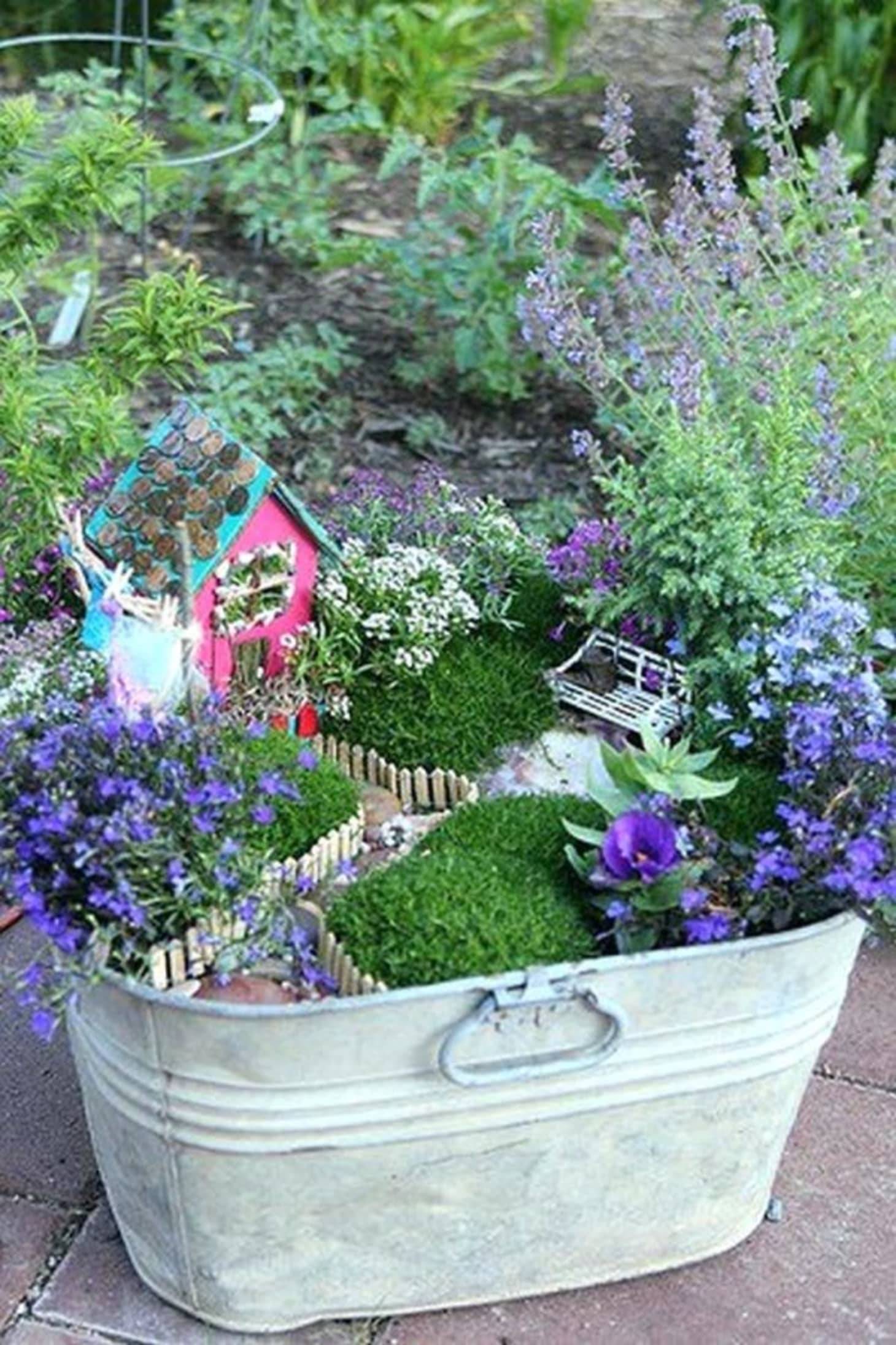 Fairy Garden