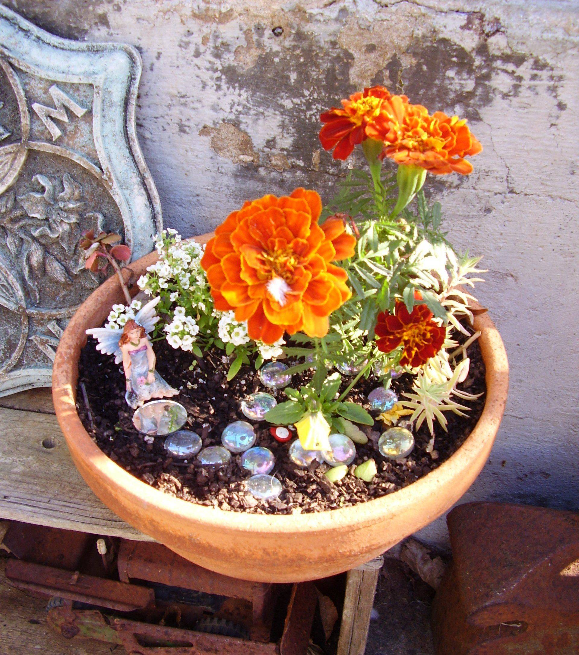 Other Fabulous Outdoor Plant