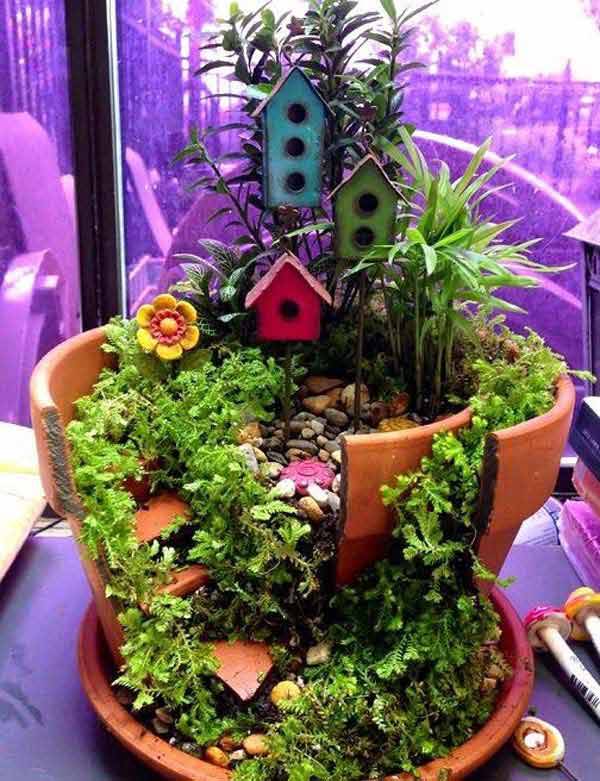 My First Fairy Garden