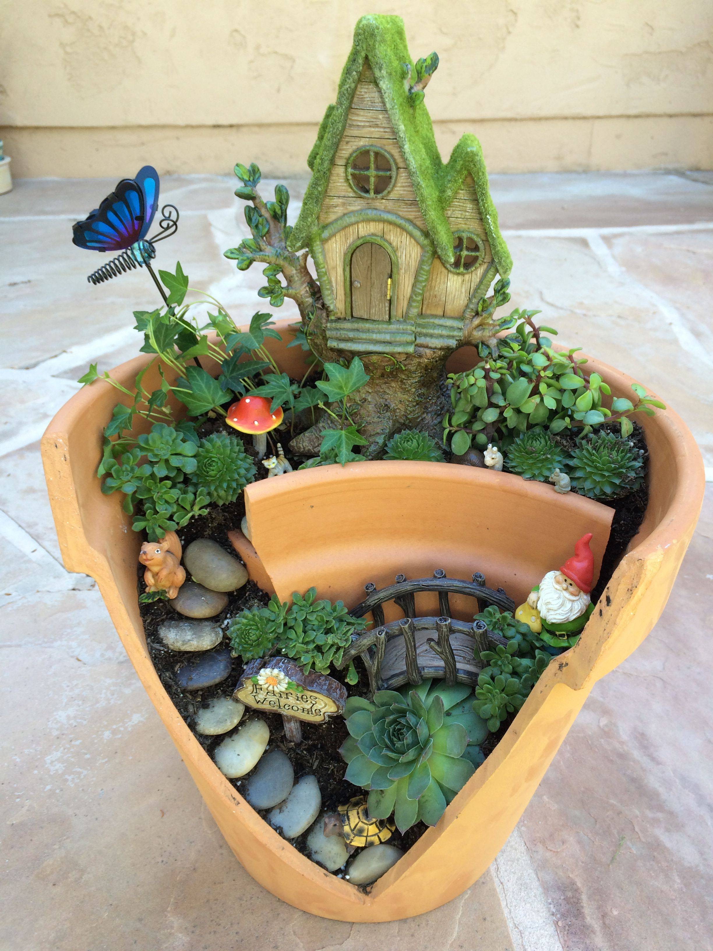 Container Fairy Gardens Garden Junk Forum