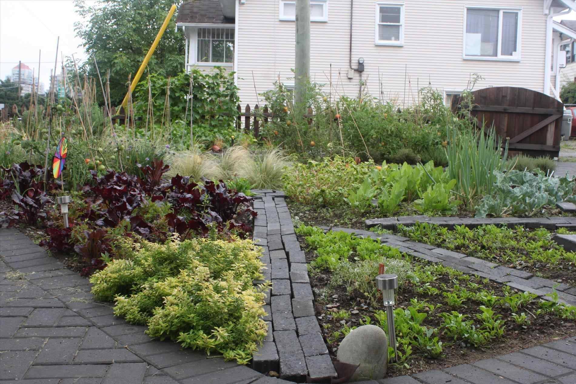 Great Front Yard Vegetable Garden Ideas