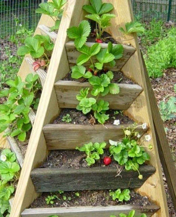 Incredible Diy Vertical Vegetable Garden Ideas