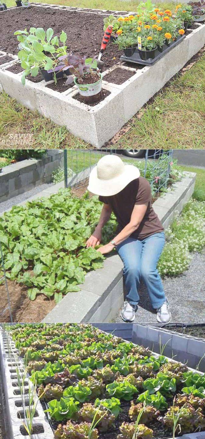 Easy Diy Vegetable Garden Small Spaces Design Ideas