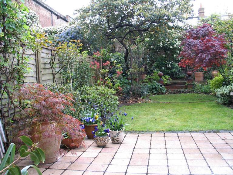 Rowhouse Backyard Urban Garden Design