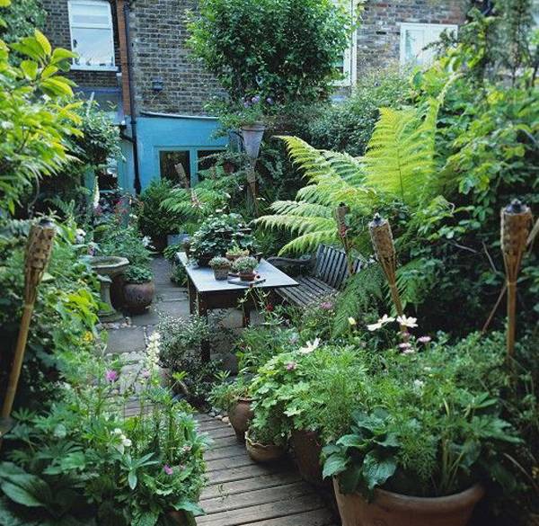 Small Urban Garden Design Ideas